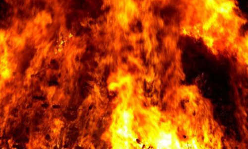 Berean Beacon