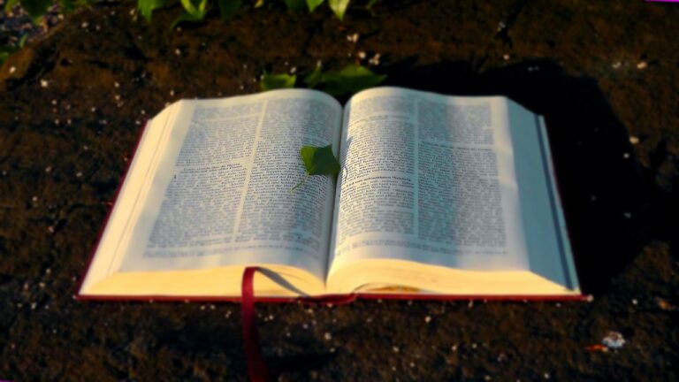 Catholicism verses Biblical faith